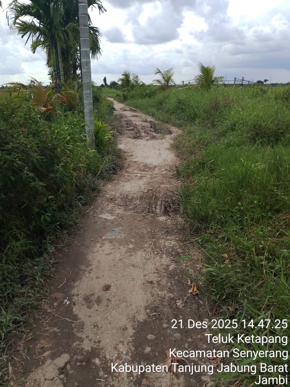 Viral!!! Pria Rekam Akses Jalan Penghubung Antar Desa Teluk Ketapang - Teluk Kempas Rusak Parah